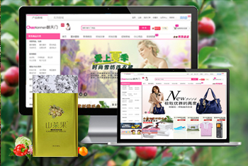 �����³������̳�