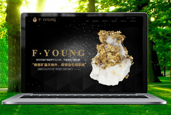 �����¸������ﱦʯ